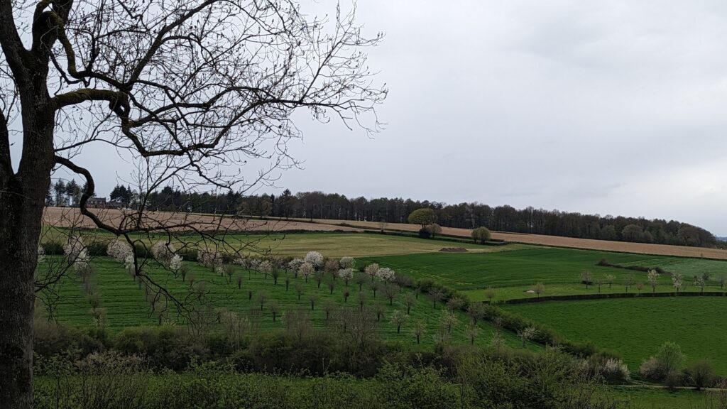 bloesem020