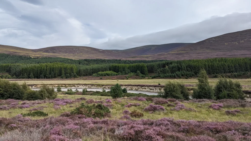 Graveltour Along river Feshie (Aviemore)