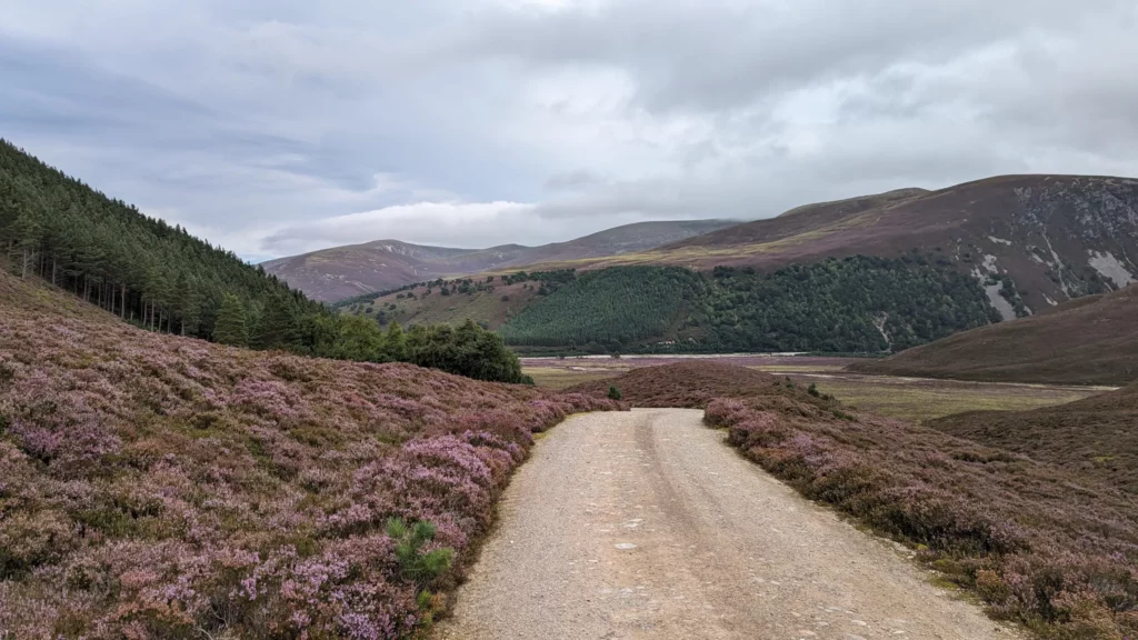 Graveltour Along river Feshie (Aviemore)