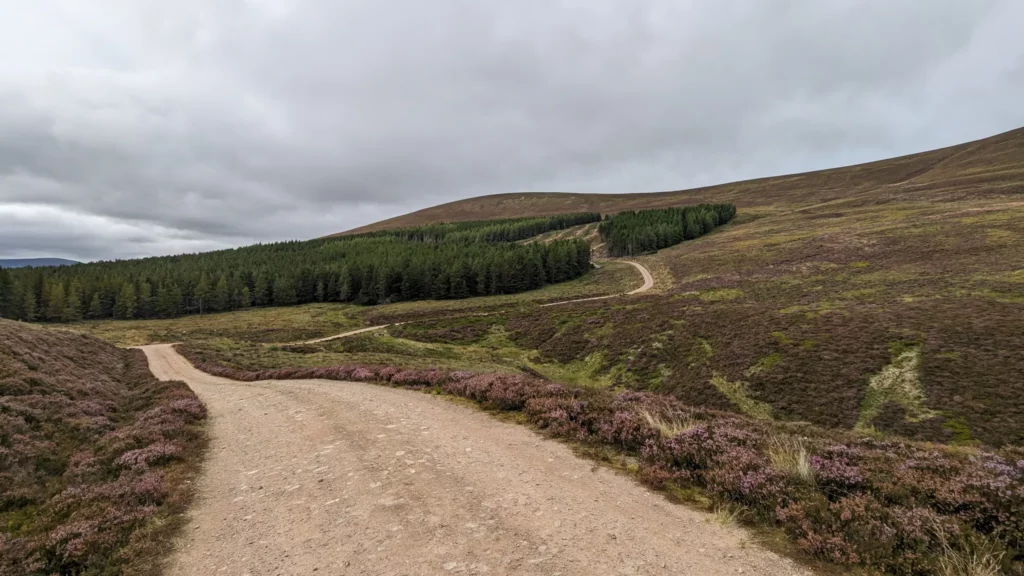 Graveltour Along river Feshie (Aviemore)