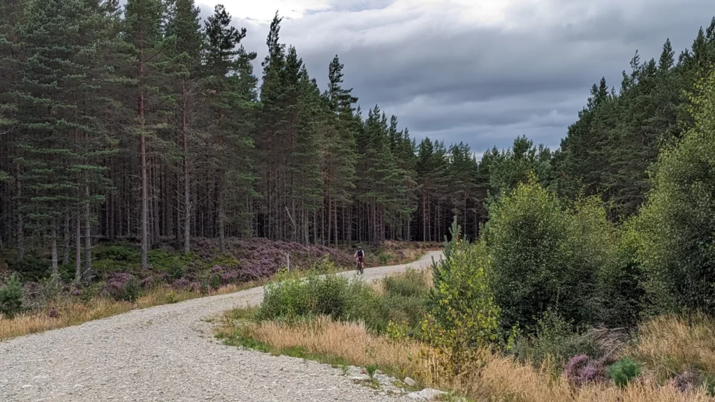 Graveltour Along river Feshie (Aviemore)