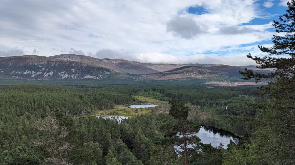 Graveltour Along river Feshie (Aviemore)