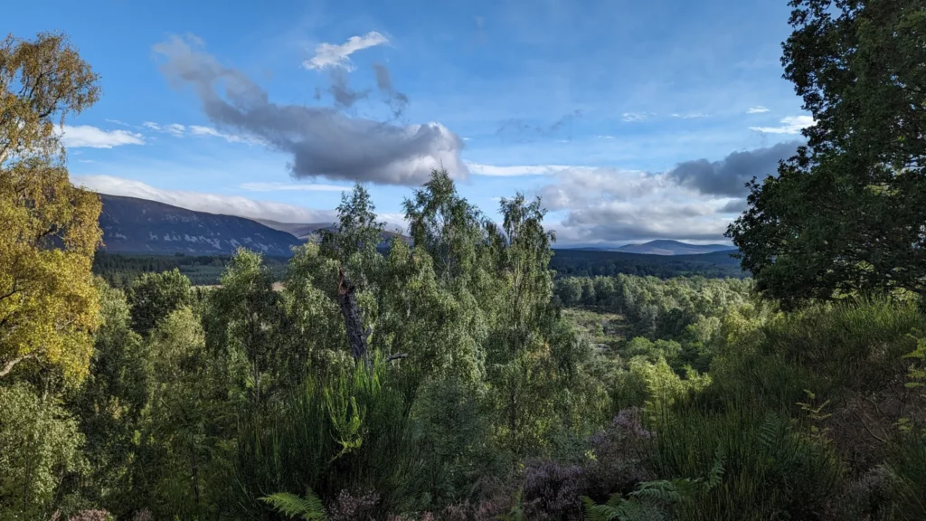 Graveltour Along river Feshie (Aviemore)