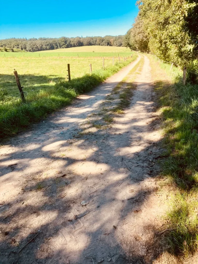 Gravel & Grapes - Rob Janssen